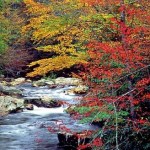 One Week in Cashiers, NC Mountain Home One Week in Cashiers, NC Mountain Home