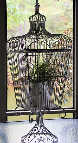 metal-bird-cage