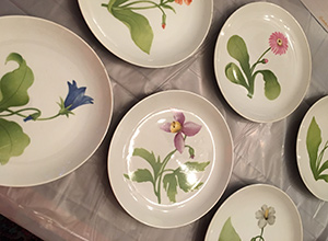 flowers-plates flowers-plates