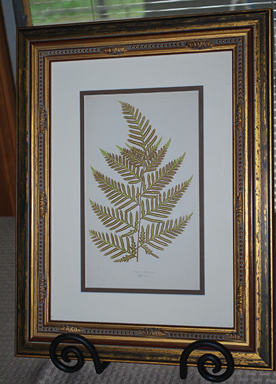 botanical-print2